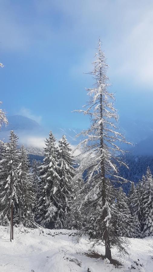 Auszeit Chalets Bschlabs Екстер'єр фото